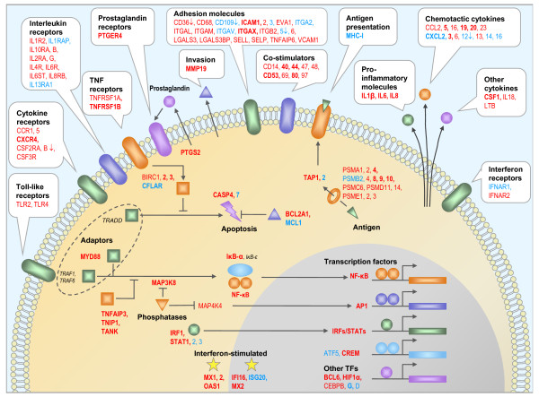 Figure 6