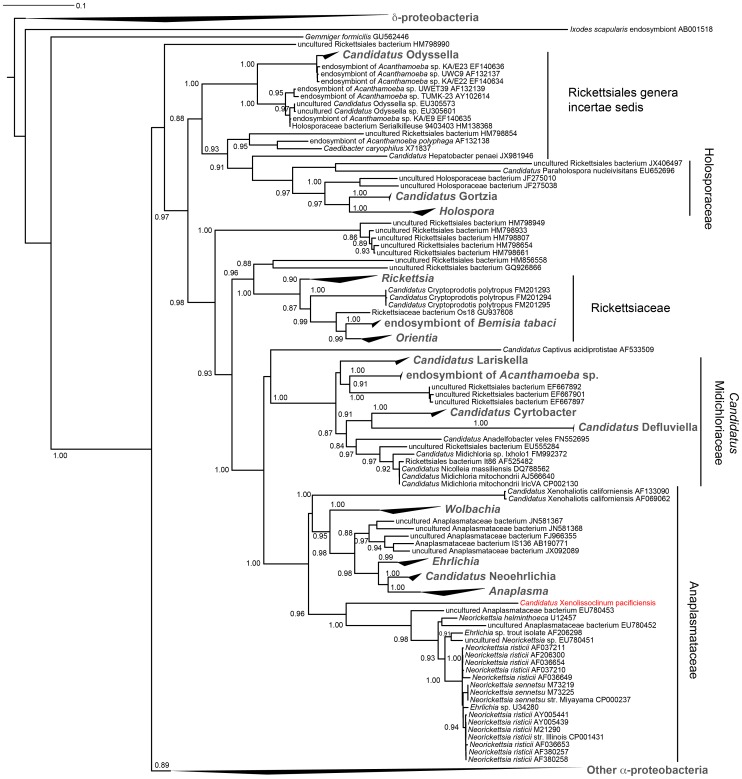 Figure 13