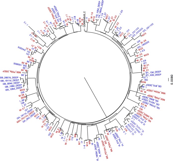 FIG 3