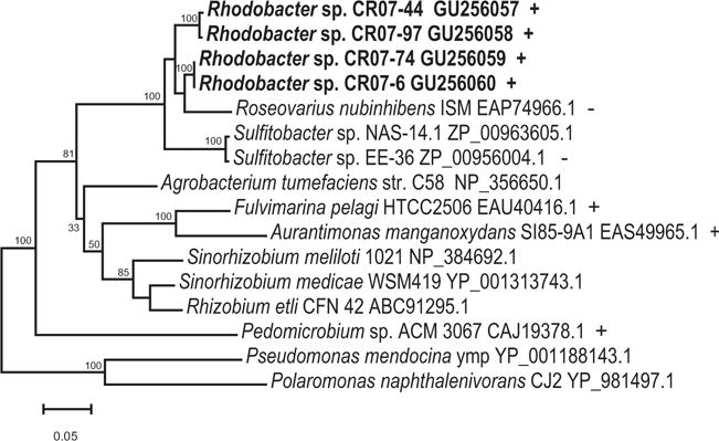 Fig. 6