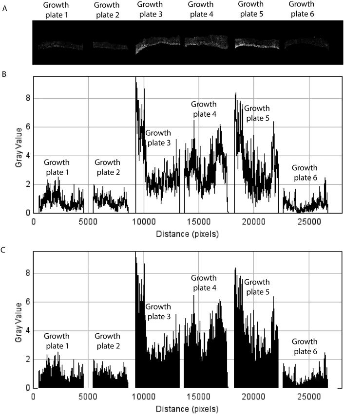 Fig. S1