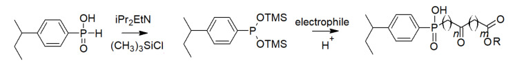 Scheme 20