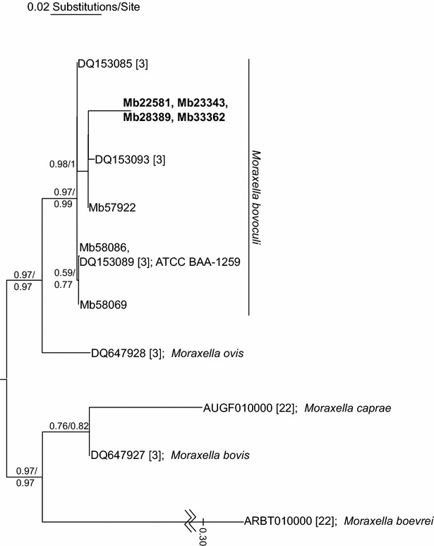 Figure 1