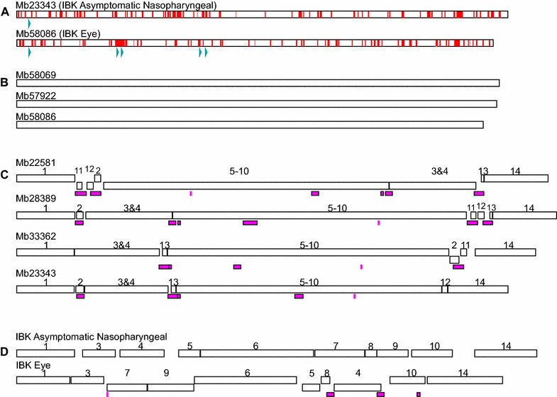 Figure 3