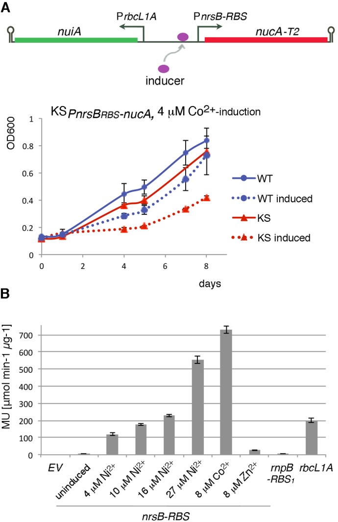 Fig. 2.