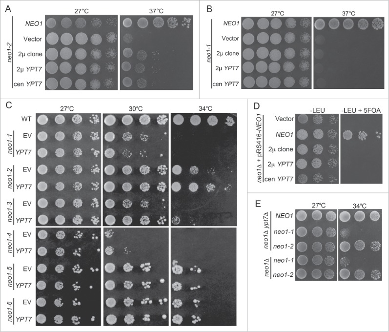 Figure 2.