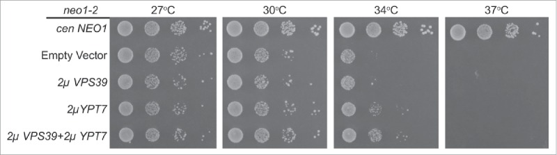 Figure 11.