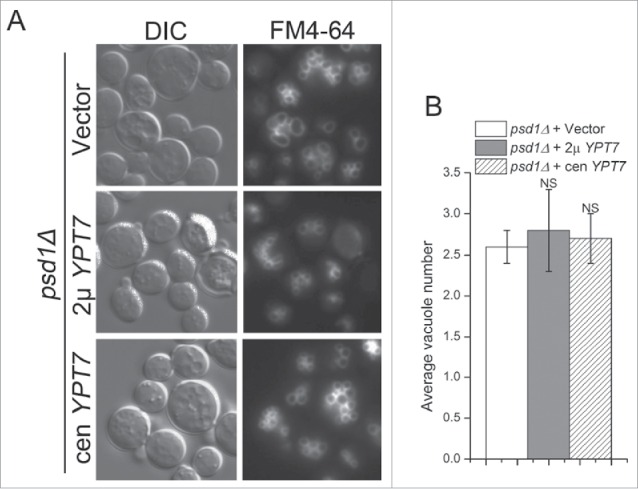 Figure 9.