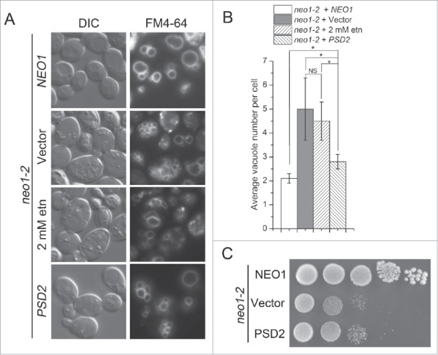 Figure 10.