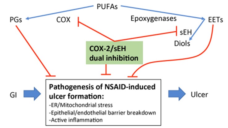 Epoxy-Oxylipins and Soluble Epoxide Hydrolase Metabolic Pathway as ...