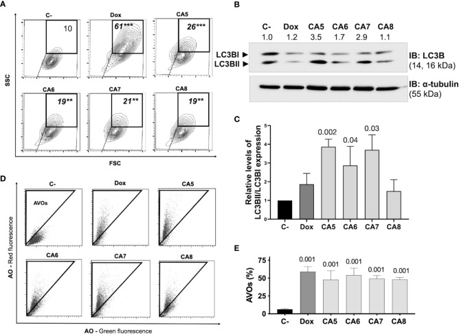 Figure 3