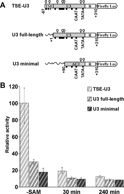 Figure 6