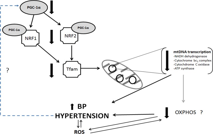 Fig 8