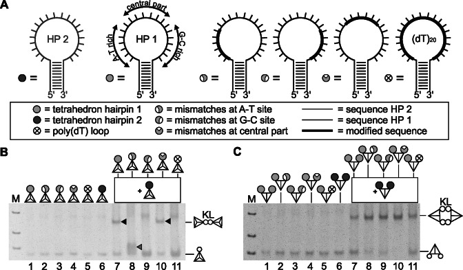 Figure 9.