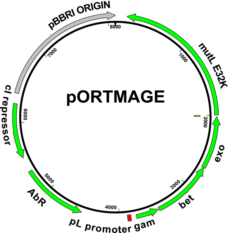 Fig. 1.