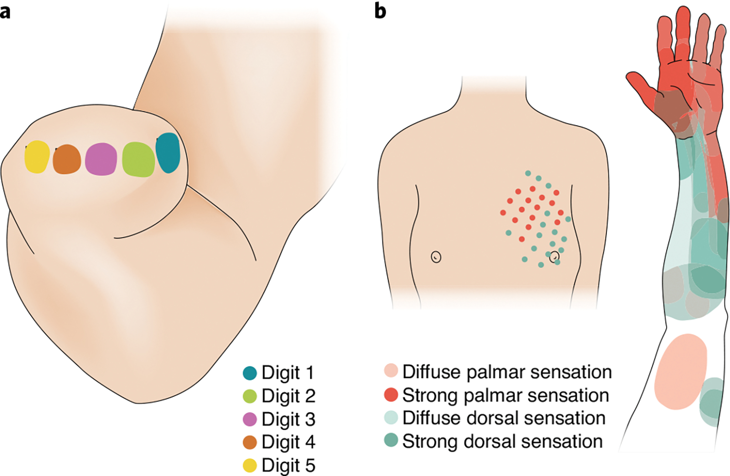 Fig. 2 |