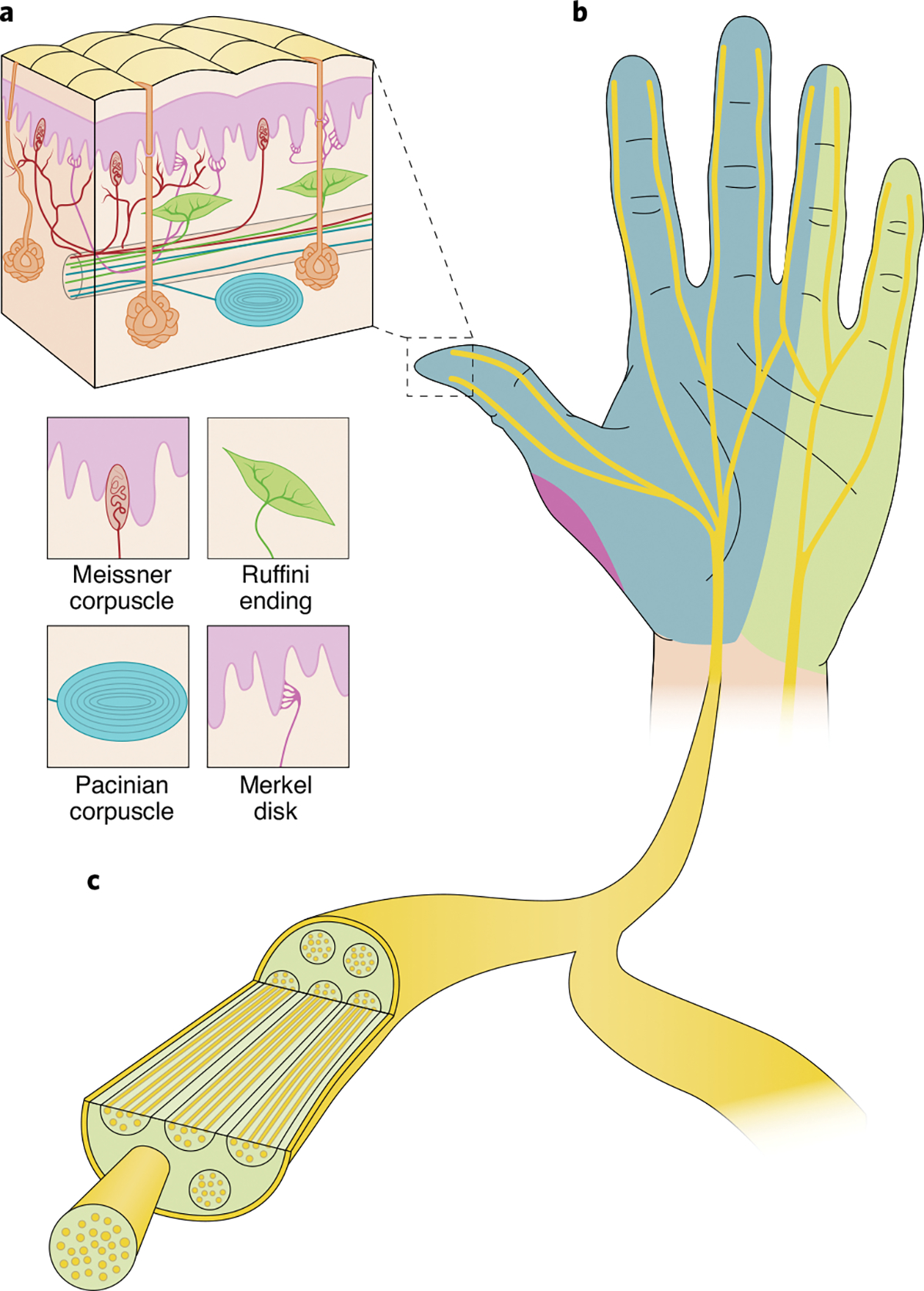 Fig. 4 |