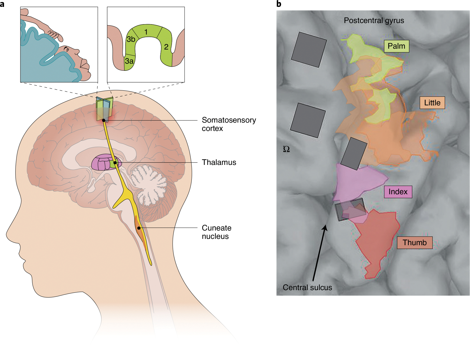 Fig. 7 |