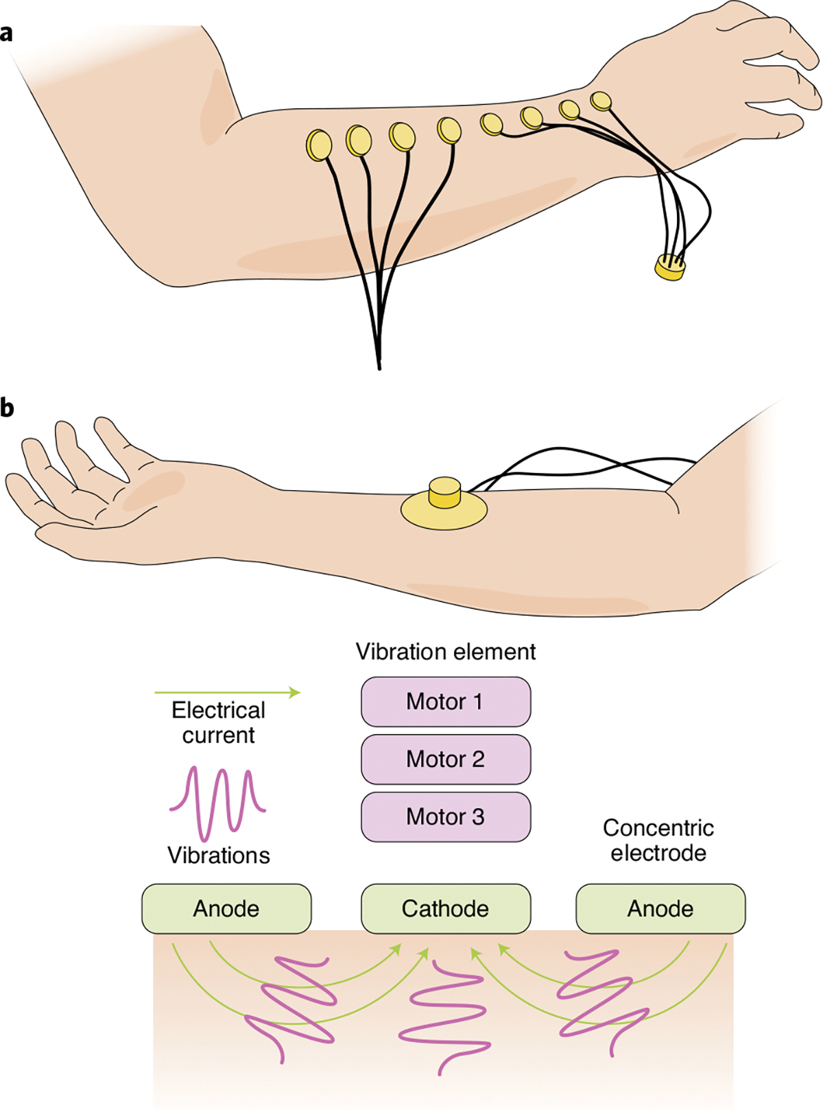 Fig. 3 |