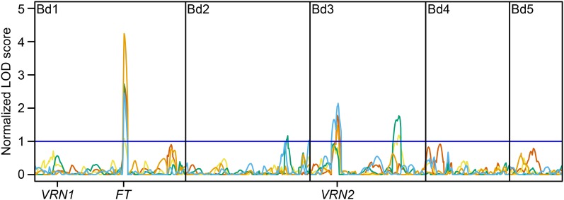 Figure 5.