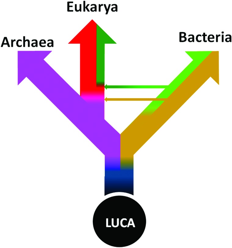 FIG. 6.