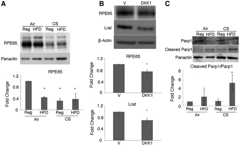 FIG. 4.