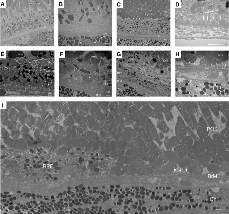 FIG. 6.