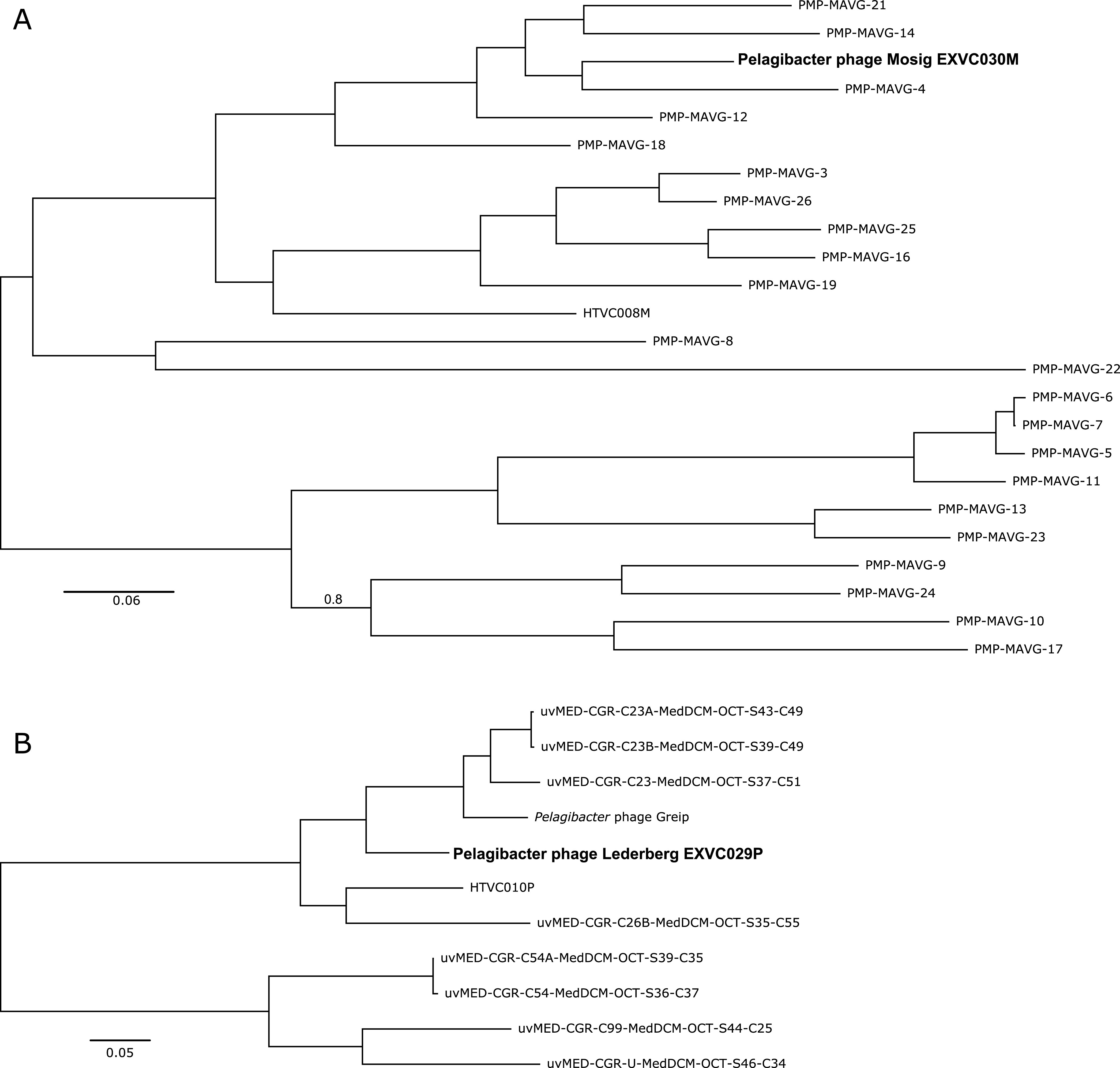 FIG 1