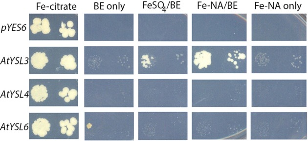 Figure 14