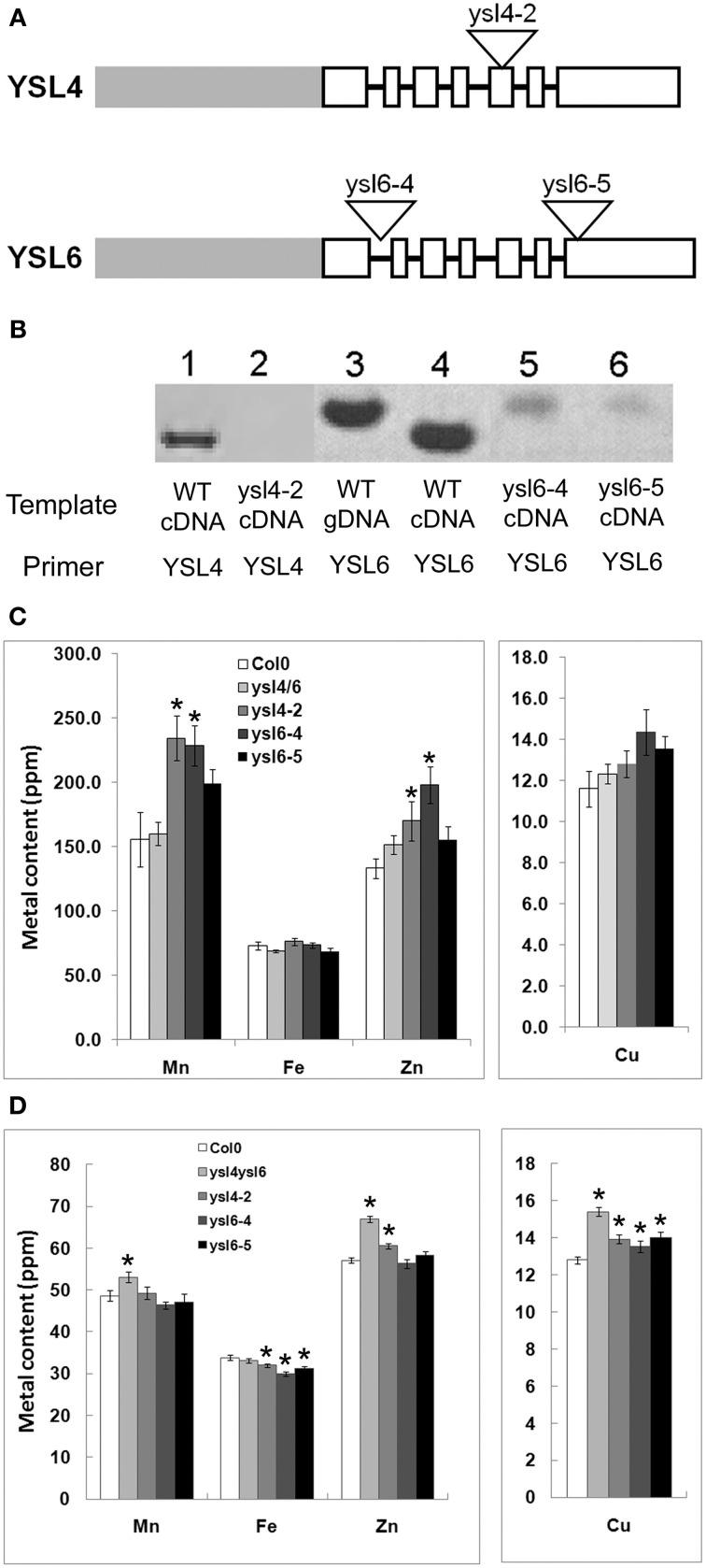 Figure 6