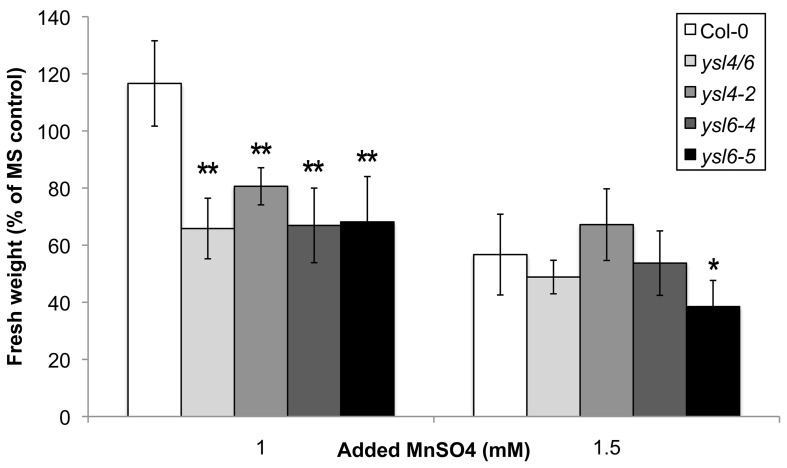 Figure 11