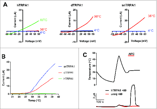 Figure 4.