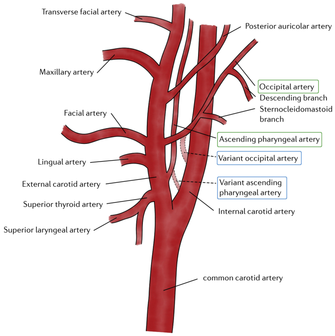 Fig 3