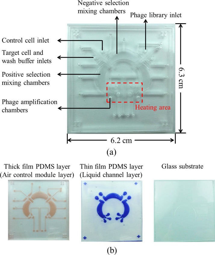 FIG. 2.