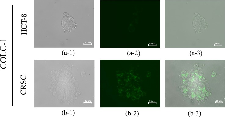 FIG. 7.