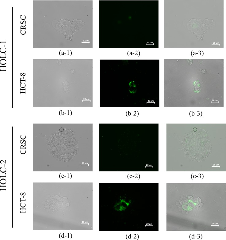 FIG. 6.