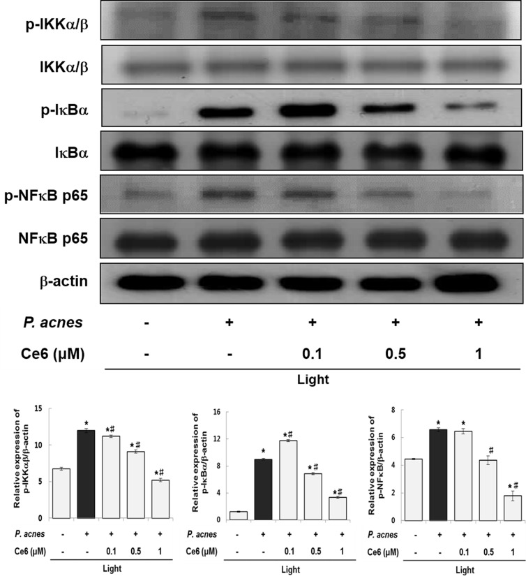 Fig 4