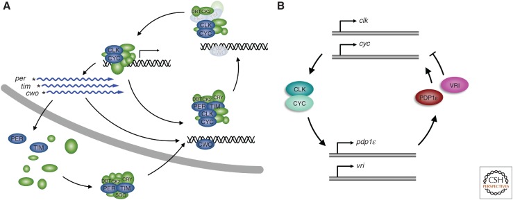 Figure 2.