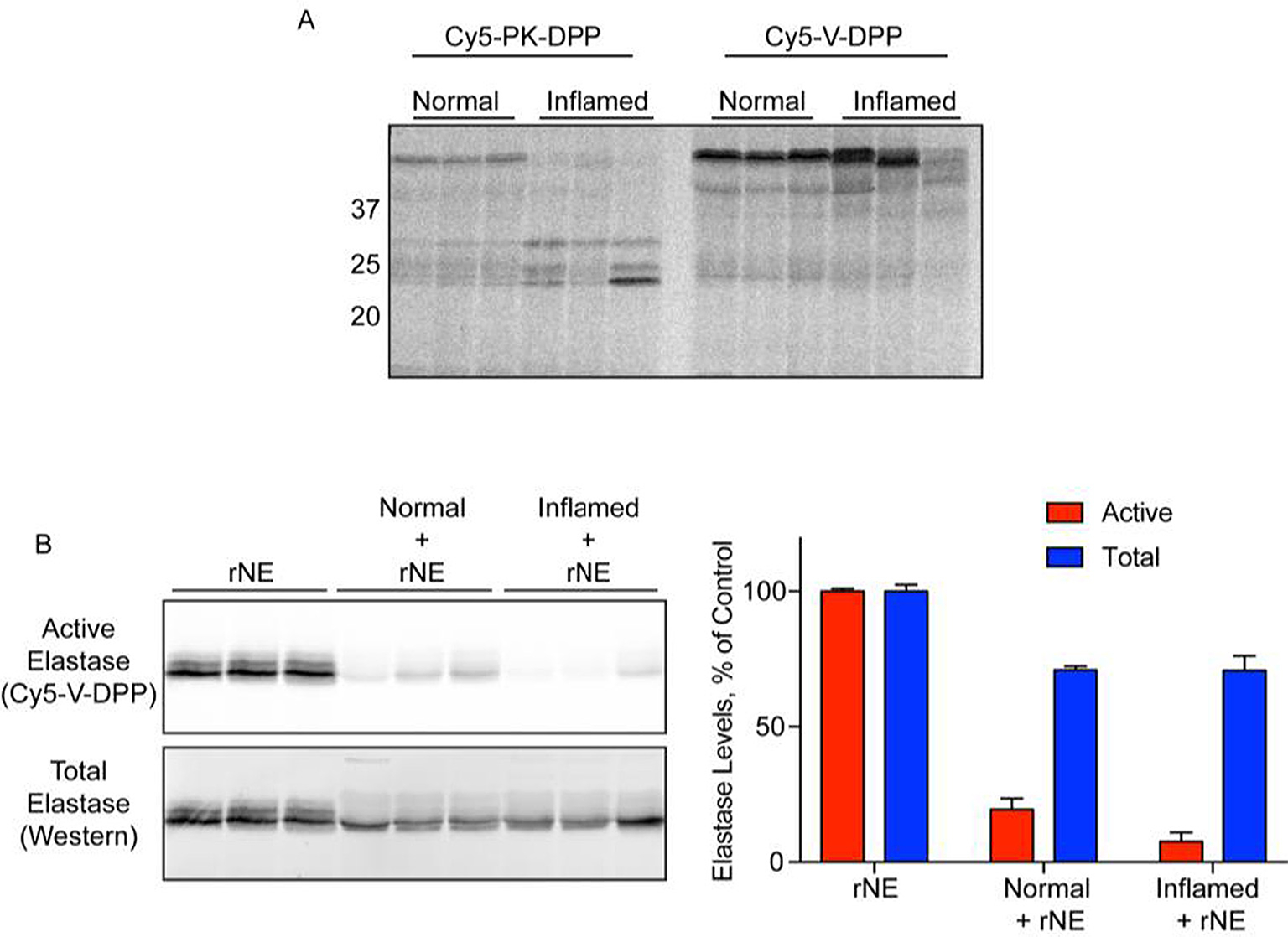 Fig. 4.