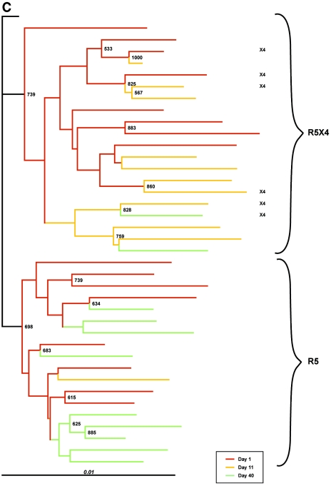 FIG.2.