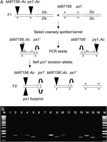 Figure 2.—