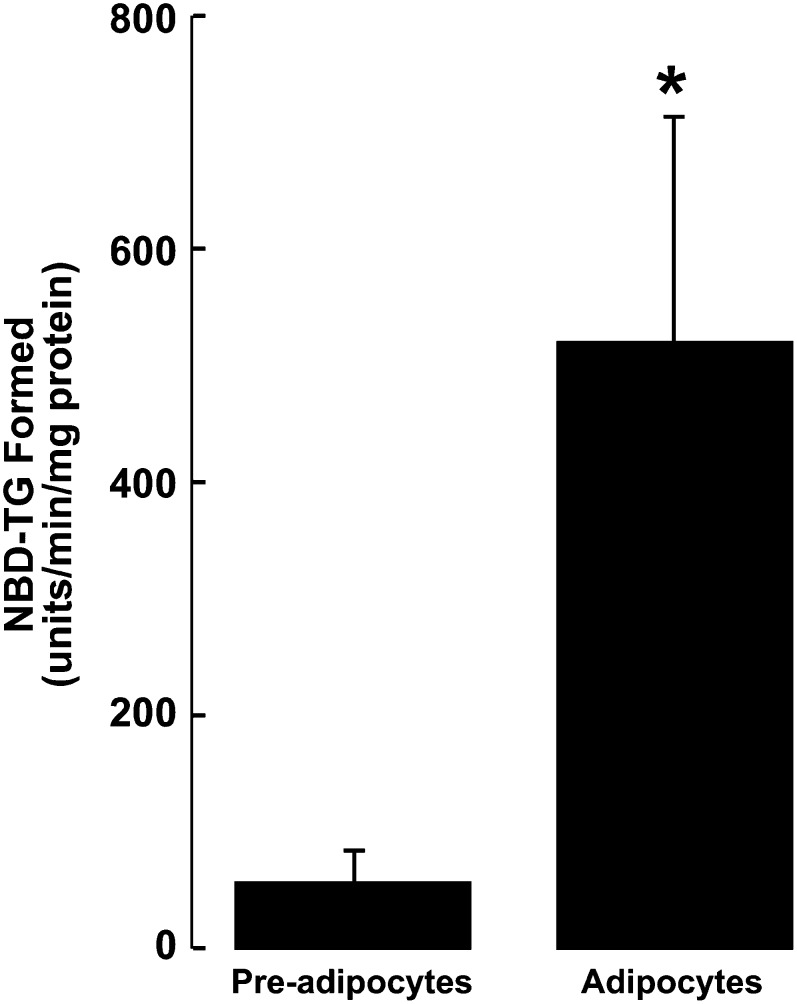 Fig. 6.