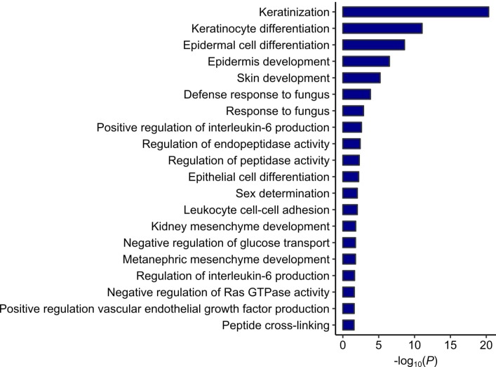 Figure 4—figure supplement 3.