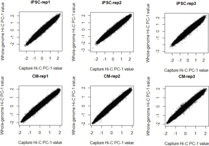 Figure 4—figure supplement 1.