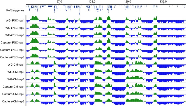 Figure 4—figure supplement 2.