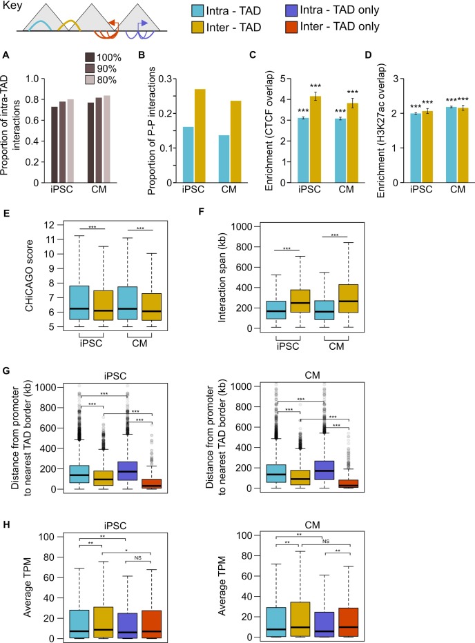 Figure 1—figure supplement 3.