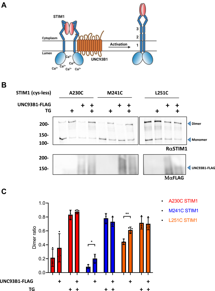 Figure 6