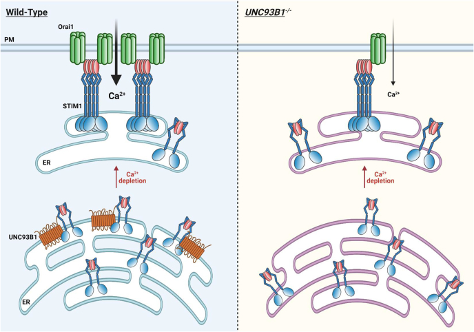 Figure 7