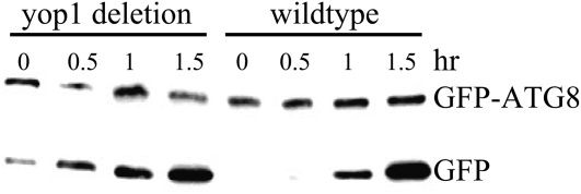 Figure 9.