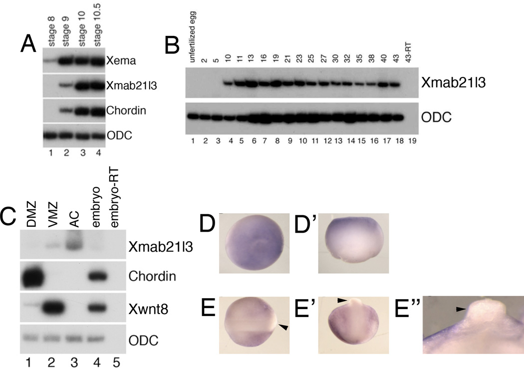 Fig.2